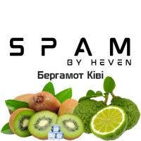 Тютюн Spam Bergamot Kiwi (Бергамот Ківі) 100гр купить